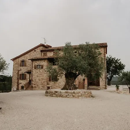 Torre Di Celle Holiday home *